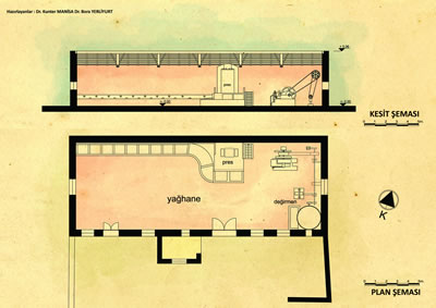 Resim 2. Kayalar köyü sahilindeki eski zeytinyağı işliği. Plan, kesit, vaziyet planı. (Hazırlayanlar: Kunter Manisa, Bora Yerliyurt)